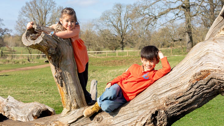 Two children playing on a large log in the parkland at Charlecote